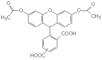 FAM|5(6)-Ȼɹض