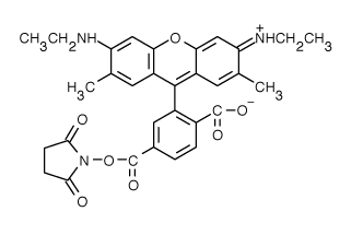 TAMRA|6-_6G 